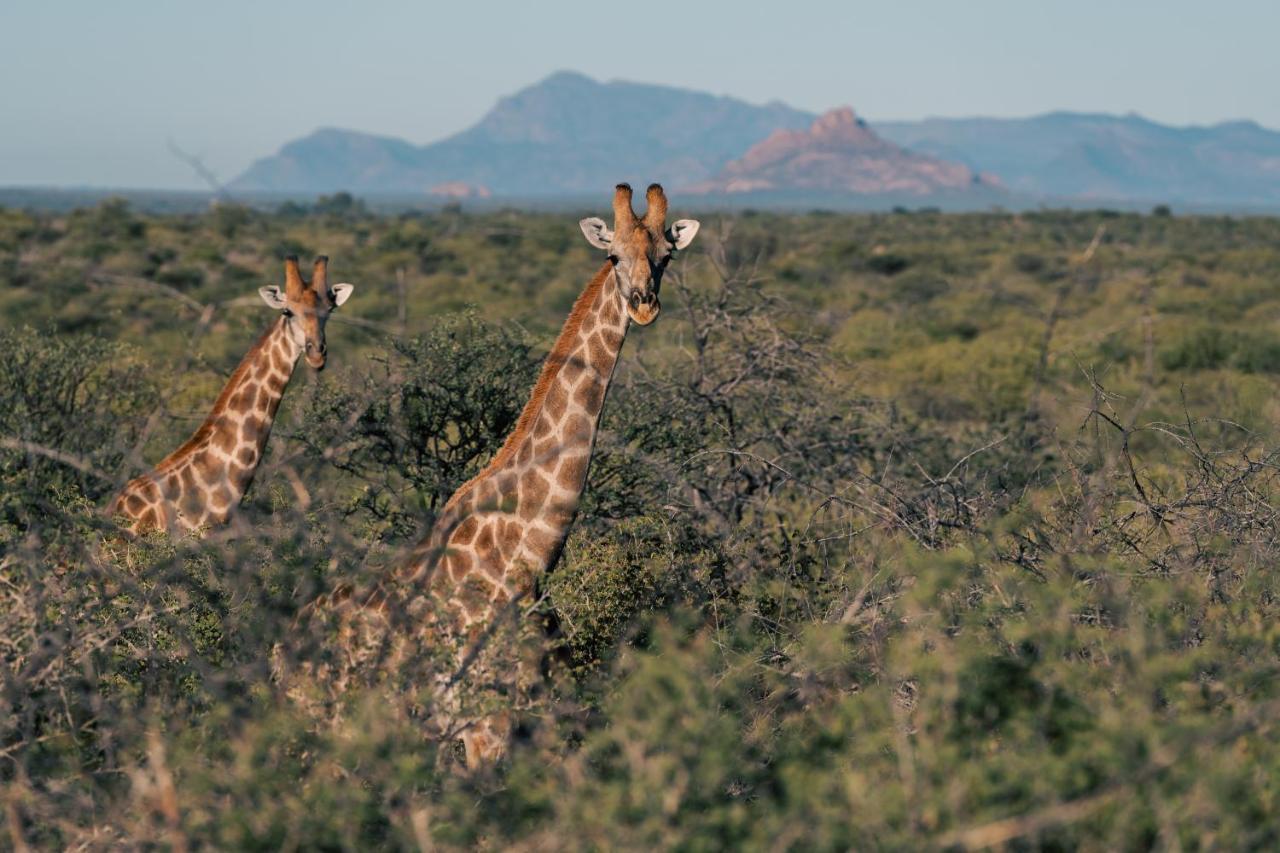 Omaruru Game Lodge Luaran gambar
