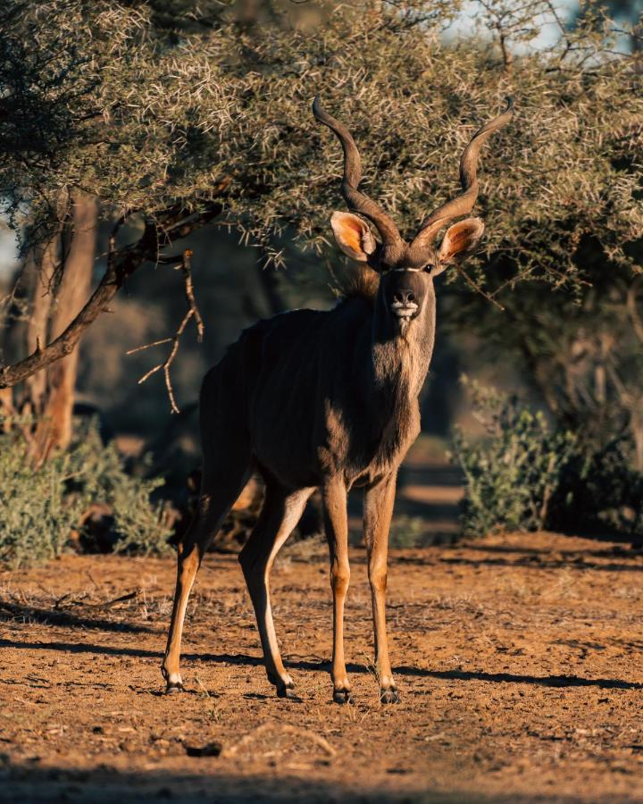 Omaruru Game Lodge Luaran gambar