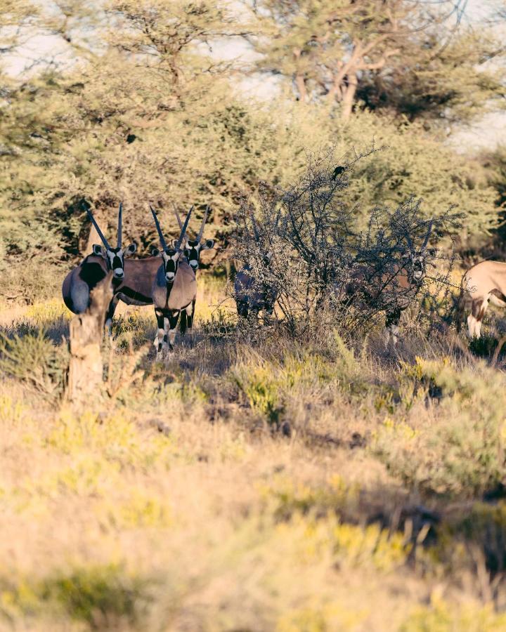 Omaruru Game Lodge Luaran gambar