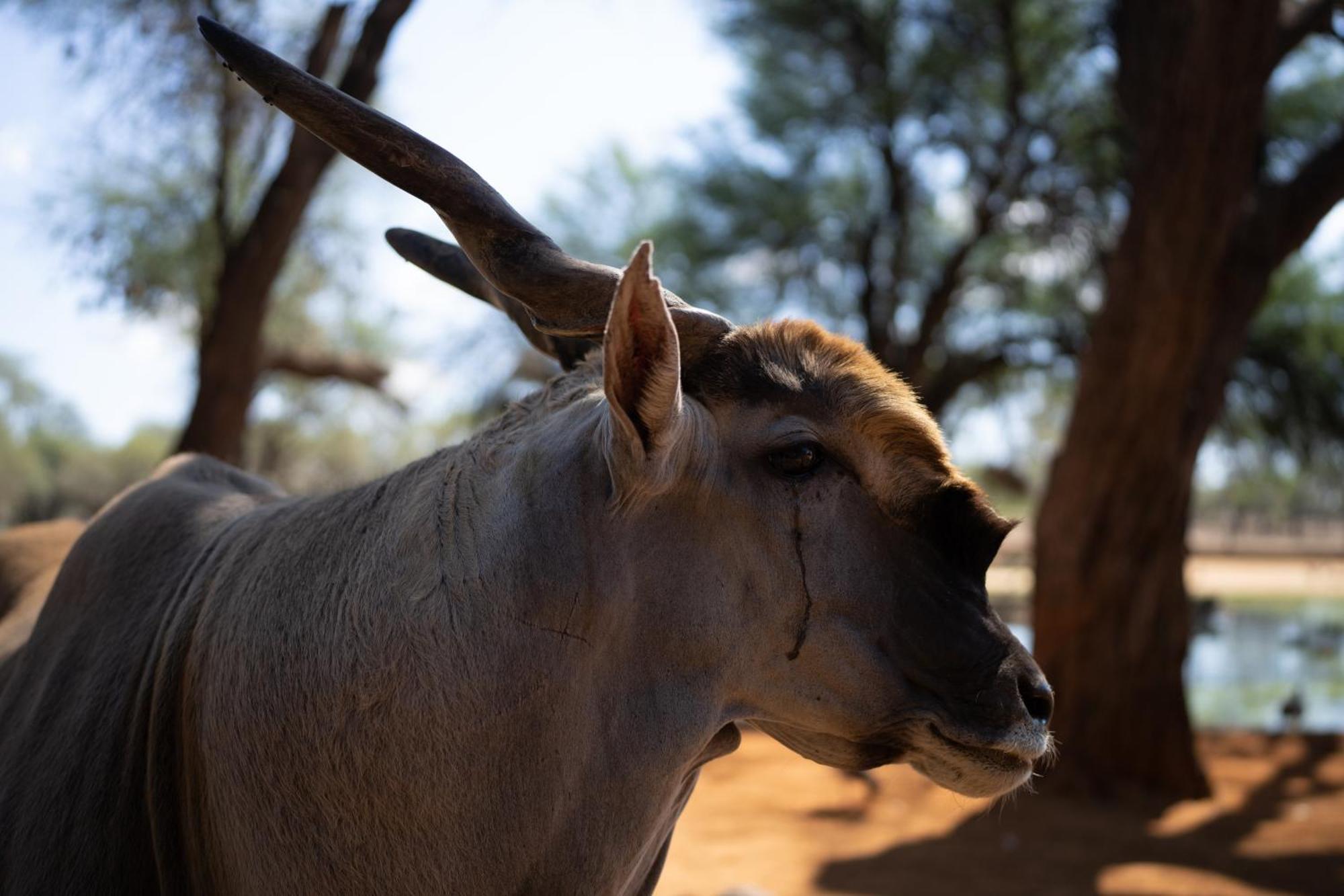 Omaruru Game Lodge Luaran gambar
