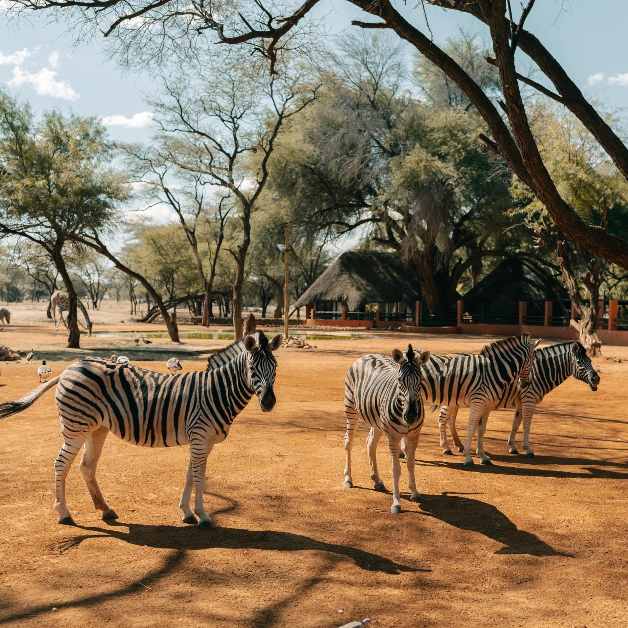 Omaruru Game Lodge Luaran gambar