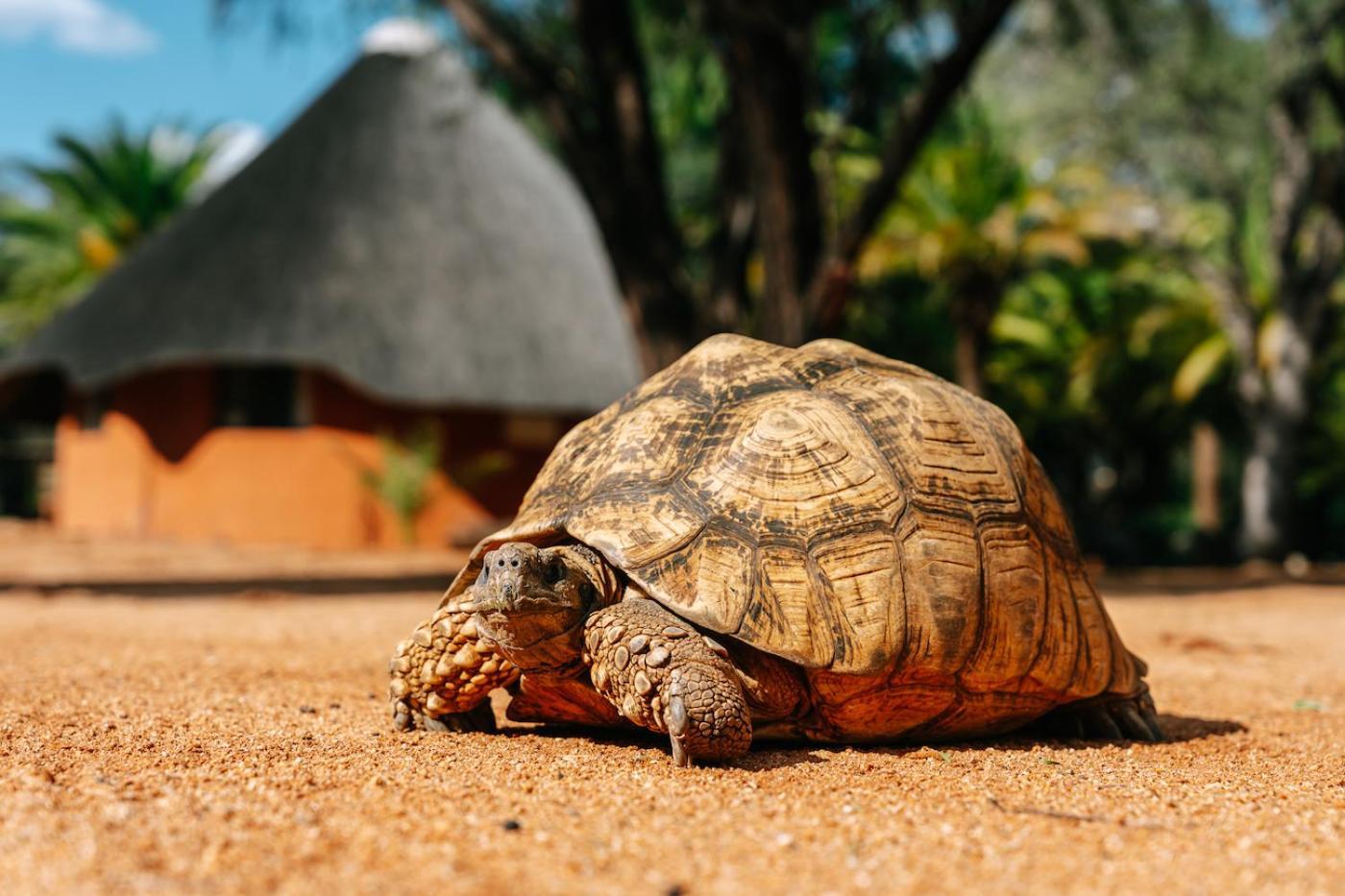 Omaruru Game Lodge Luaran gambar